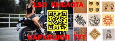 mdpv Краснодар