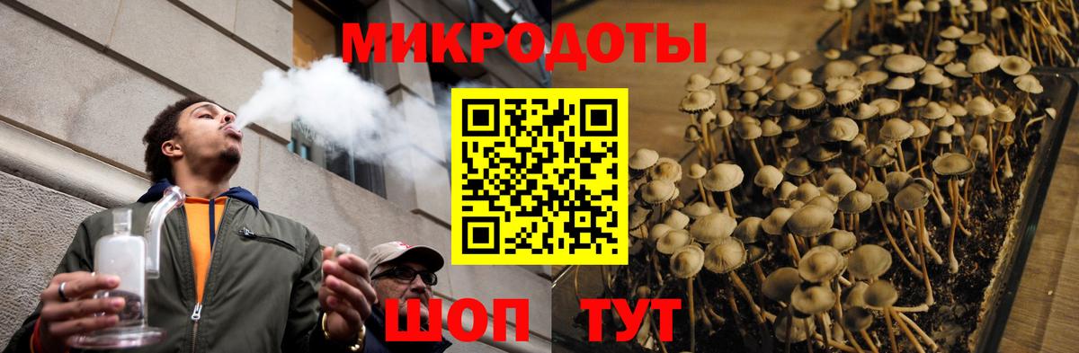 Звенигород  Галлюциногенные грибы ЛСД  Вход с VPN 