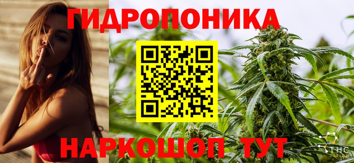 Конопля семена  Каннабис Ganja  Конопля White Widow  Каннабис сатива  Вход с VPN  Звенигород 